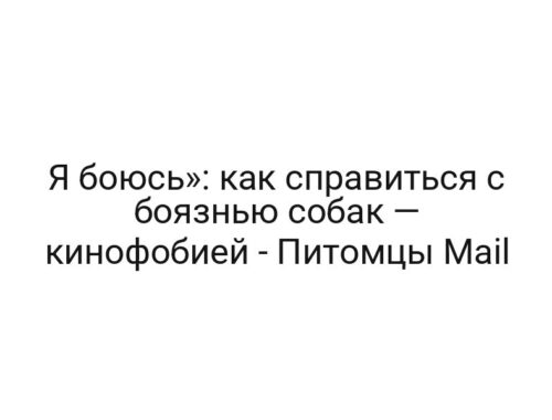 Я боюсь»: как справиться с боязнью собак — кинофобией — Питомцы Mail