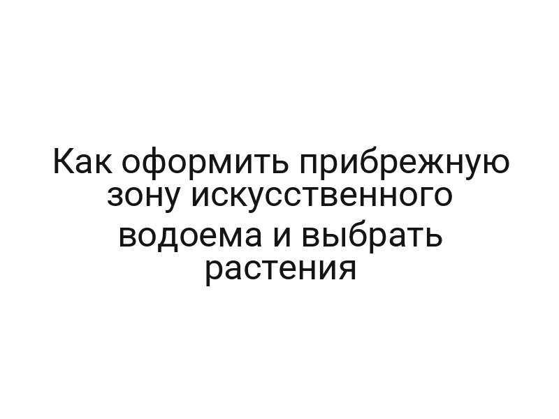 Как оформить прибрежную зону искусственного водоема и выбрать растения