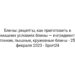 Блины: рецепты, как приготовить в домашних условиях блины — ингредиенты, тонкие, пышные, кружевные блины — 25 февраля 2023 — Sport24