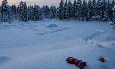 От жирных пятен до блеска: как очистить духовку паром за 30 минут и без усилий