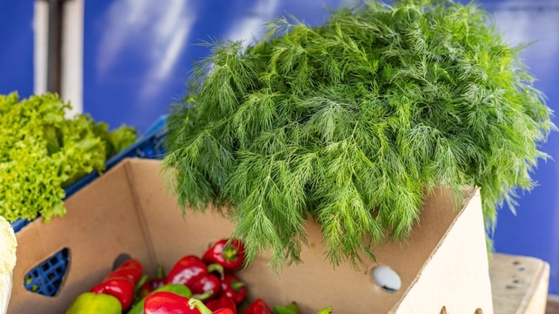 Зелень останется свежей 3 недели: метод хранения, которым пользуются в дорогих ресторанах. Кулинарные статьи и лайфхаки