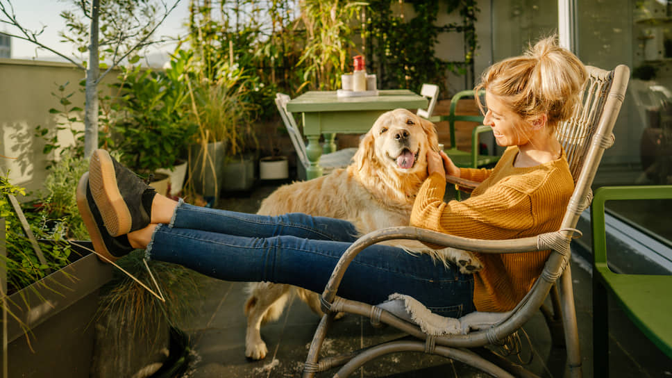 Квартиры с террасой в новостройках Москвы — спрос, переплата и цены