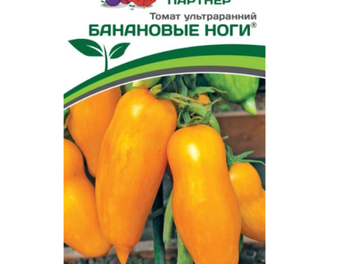 Как выбрать и заказать семена овощей, цветов и сидератов с доставкой почтой по Беларуси